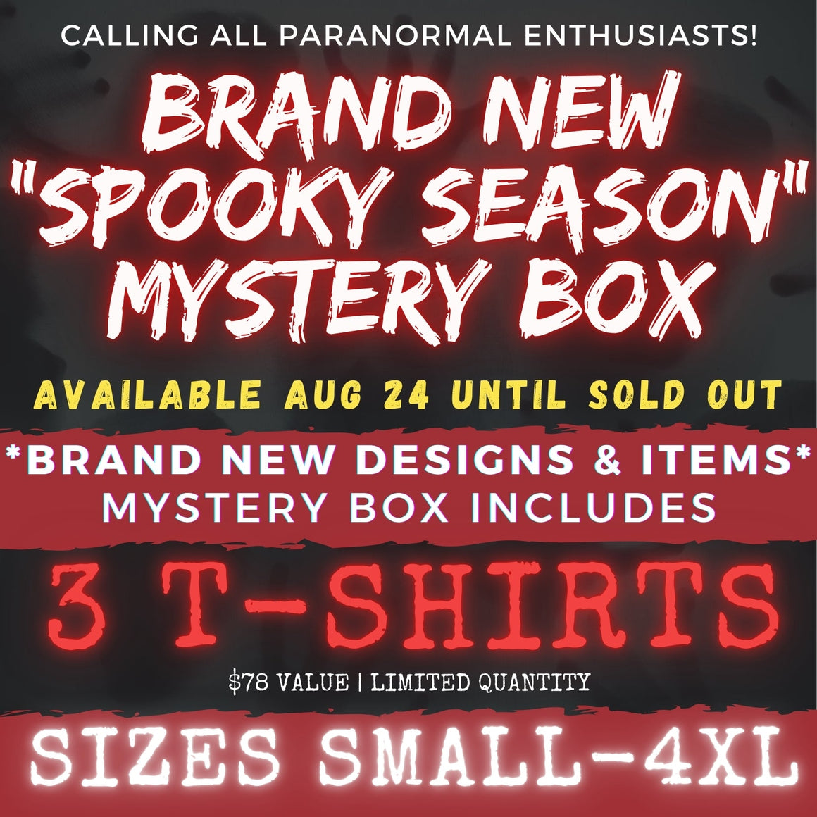 SPOOKY SEASON (CAME EARLY) MYSTERY BOX!