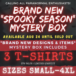 SPOOKY SEASON (CAME EARLY) MYSTERY BOX!