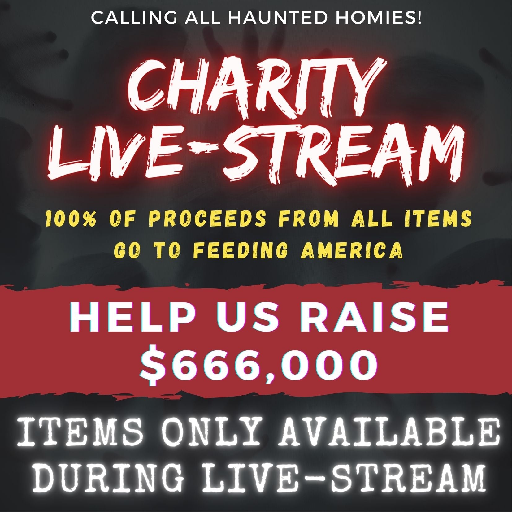 FEEDING AMERICA CHARITY ITEMS