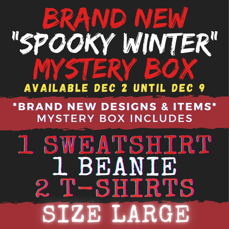 LARGE - SPOOKY WINTER MYSTERY BOX!