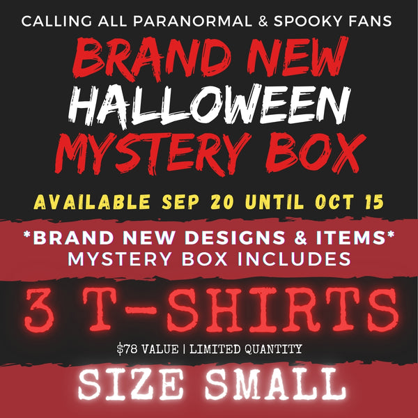 SMALL - HALLOWEEN MYSTERY BOX!