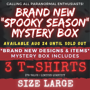 LARGE - SPOOKY SEASON (CAME EARLY) MYSTERY BOX!