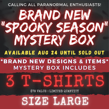 LARGE - SPOOKY SEASON (CAME EARLY) MYSTERY BOX!