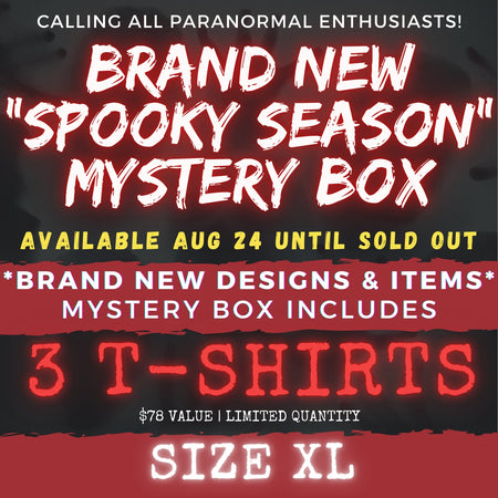 XL - SPOOKY SEASON (CAME EARLY) MYSTERY BOX!