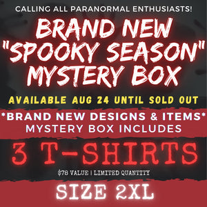 2XL - SPOOKY SEASON (CAME EARLY) MYSTERY BOX!