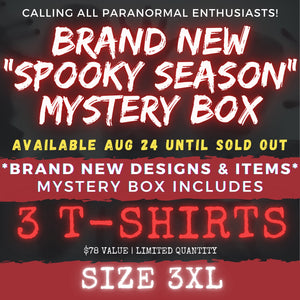 3XL - SPOOKY SEASON (CAME EARLY) MYSTERY BOX!