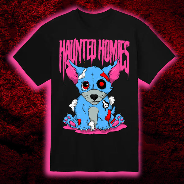 SEPTEMBER HAUNTED HOMIES MYSTERY BOX - Send It Society